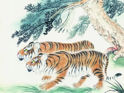 阴历哪个月的母虎生得不好