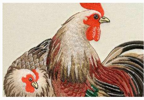 鸡的正确标志是什么