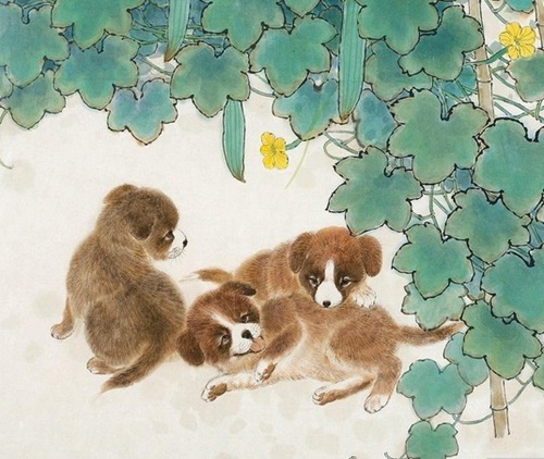 狗年宝宝是什么时候出生的