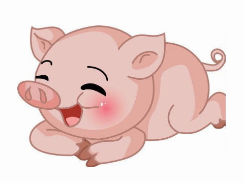 娶个猪女和猴男好不好？会幸福吗