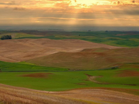 金命等于木命吗？婚姻幸福吗