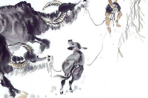 十二生肖中最悲惨的生肖