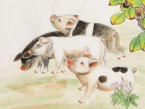 2007年和2021年猪的幸运色是什么