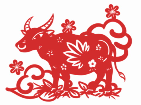 2021年，金牛座宝宝什么时候好