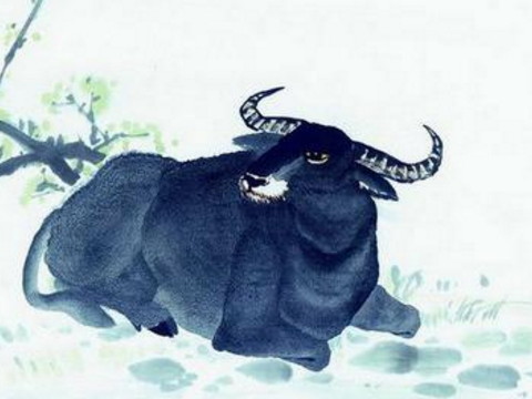 1997年10月出生的牛命运好吗