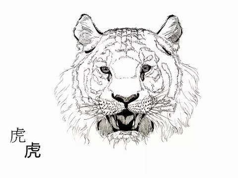 农历虎年出生后几天,运势大好