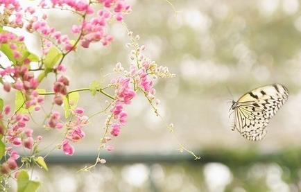教你找到自己的桃花