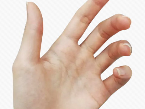 女人创业成功的手相