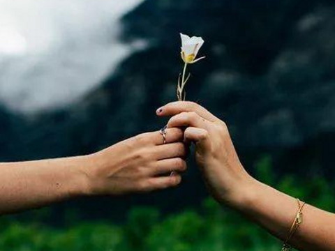 91年属羊和93年属鸡配吗 结婚合适吗