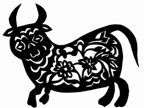 谁是1997年牛的最佳搭配