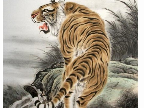 2021年老虎人能动吗？