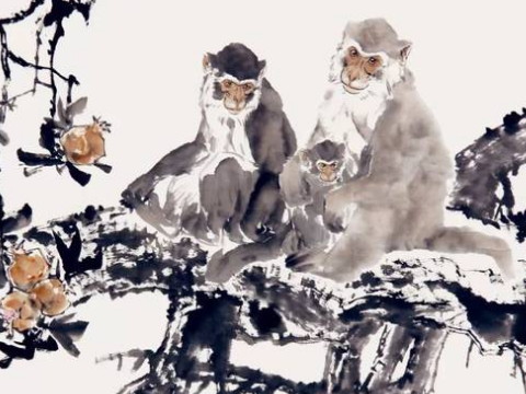 1968年猴子人的生活是怎样的