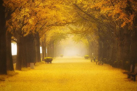 性格坚强的婚姻怎么样