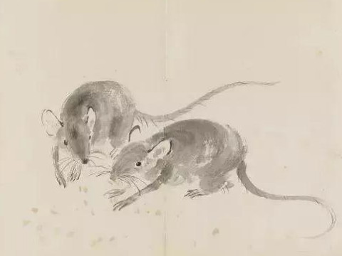 老鼠做什么行业发大财