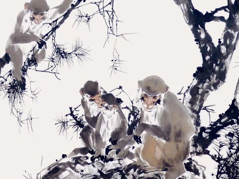 1968年的猴人到2021年有多大