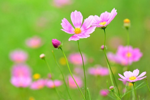 如何计算名称和地点