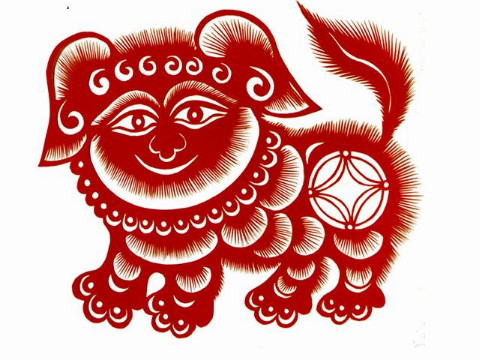 1994年狗的生活是怎样的？1994年出生的狗命运如何