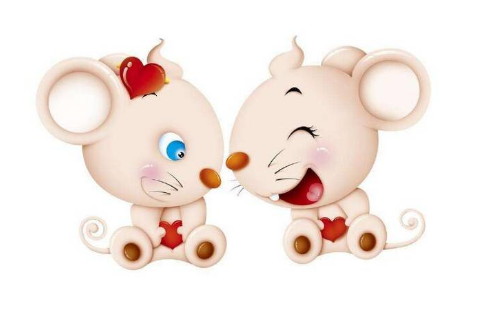 愚蠢的人有四个十二生肖的女人，她们既愚蠢又幸运