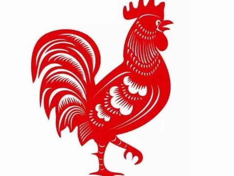 2005年属鸡的命运 2005年属鸡一生运势分析