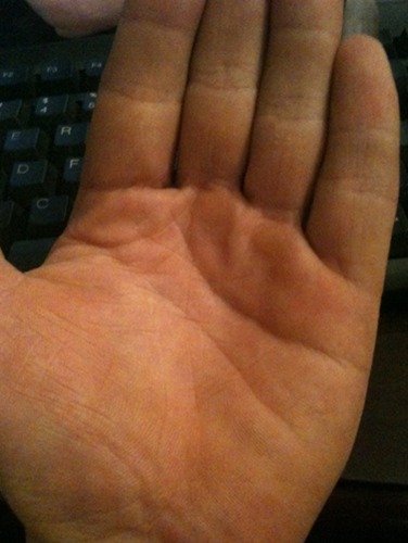 掌智行大全插图