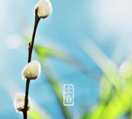 立春二十四节气