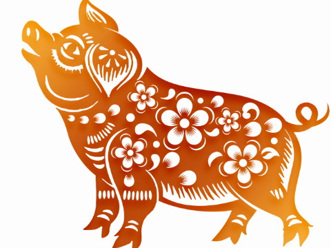 谁是1995年最适合养猪的人