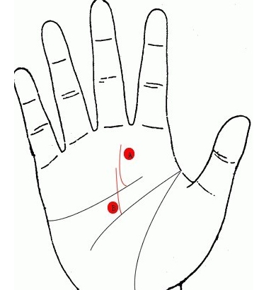 智慧行，看你做什么工作。