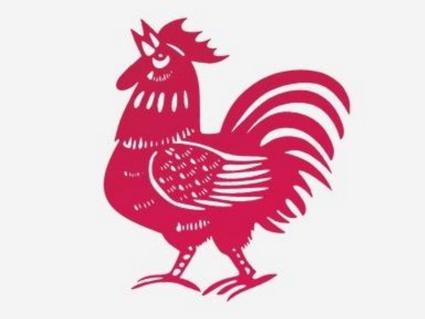 1981年，一只鸡的生活是怎样的