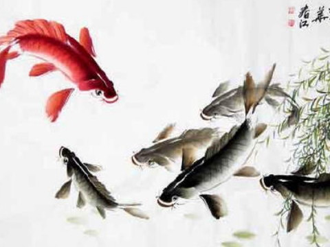 用适当的方法补充五行中的缺水是好的