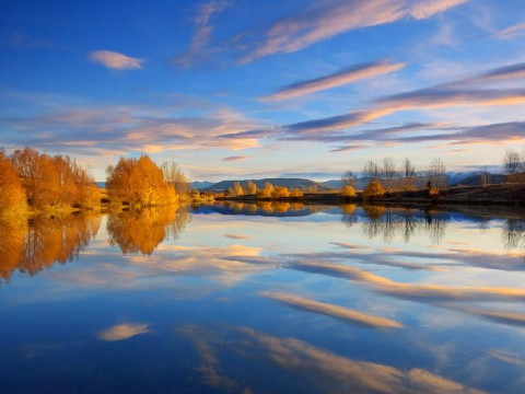 白镴金童玉女的最佳搭配是什么