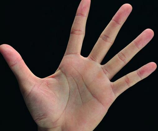 富人手掌的图片说明