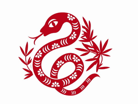 蛇女最好的标志是什么