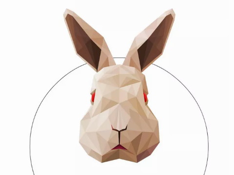 丑兔生的男孩命运好吗