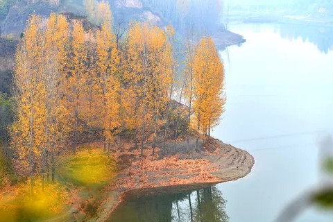 八字发大财，谁注定发大财