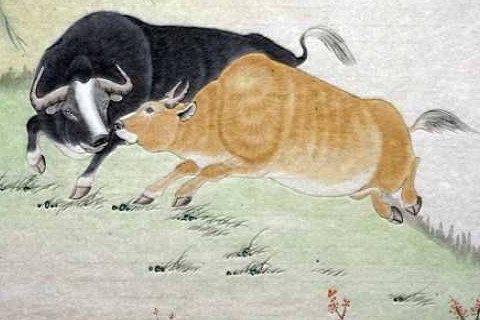 最虚伪的生肖女