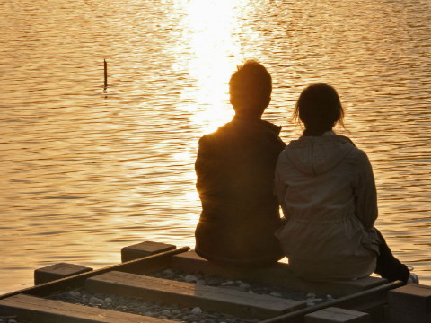 属兔的和属狗的合不合 结婚的话会幸福吗