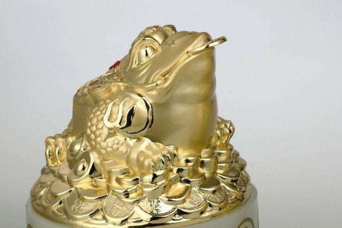 开金蟾的方法注意金蟾的摆放