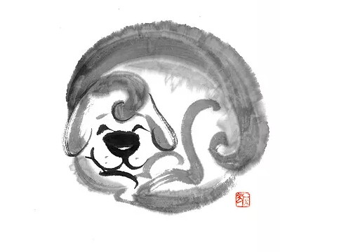 2020年7月是狗的财富