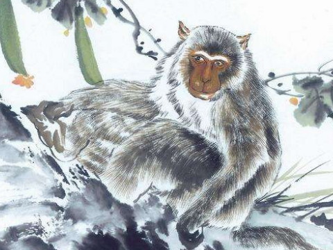 2004年和2021年猴子的幸运色是什么