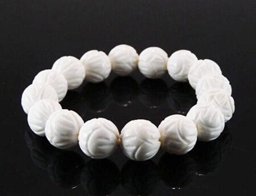 白砗磲的作用和功效