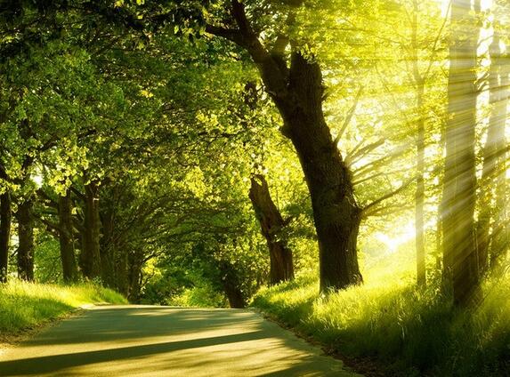 一个词的网名的繁体字