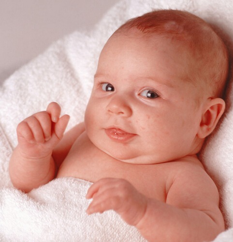 解析2015年几月份的羊好