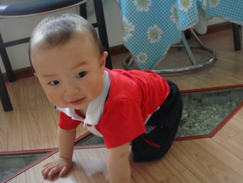 教您用带木字的男孩取名