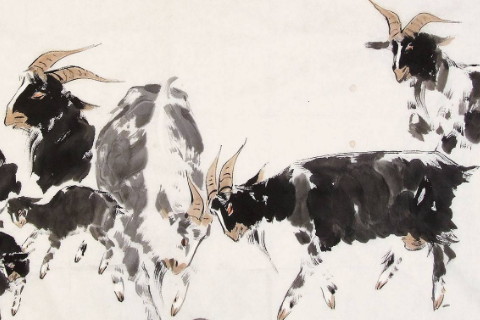 后半生享受幸福的生肖女人