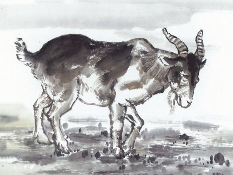 2015年2021年羊的幸运色是什么