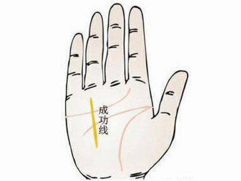 成功线比情感线短意味着什么