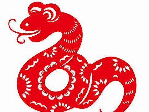 1977年，他是一个蛇人。2021年有多大