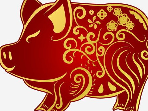 娶83个猪女80个猴男好不好