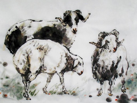 1967年和2021年羊的幸运色是什么