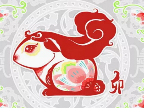 2021年兔子穿什么赚钱